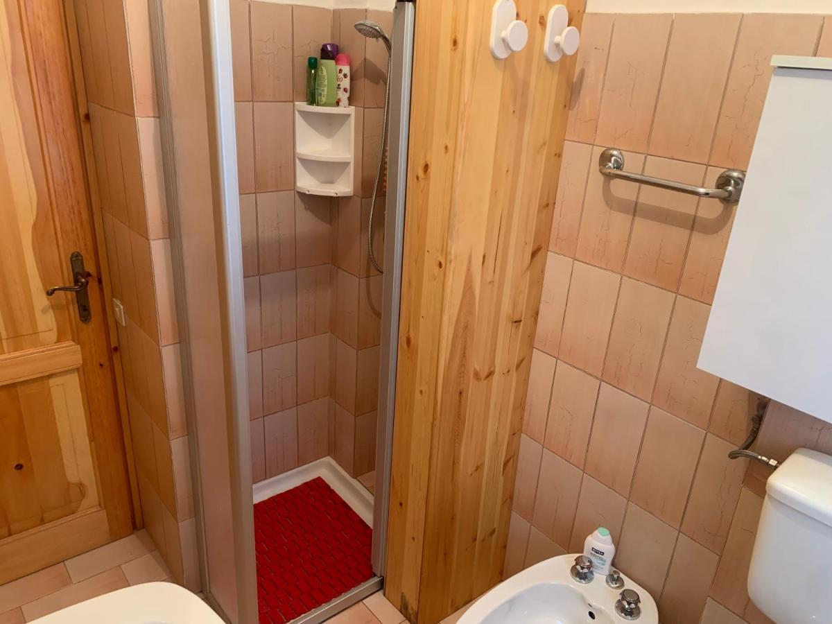 Appartamento Tipico Vista Dolomiti ネヴェガル エクステリア 写真